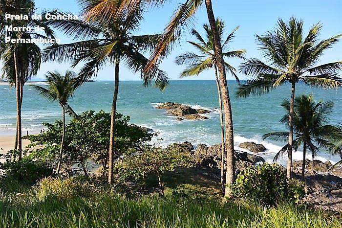 Paraiso Na Praia Hotel Ilhéus Стая снимка