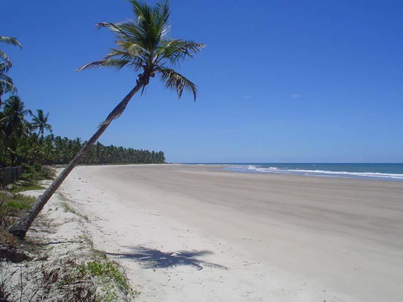 Paraiso Na Praia Hotel Ilhéus Стая снимка